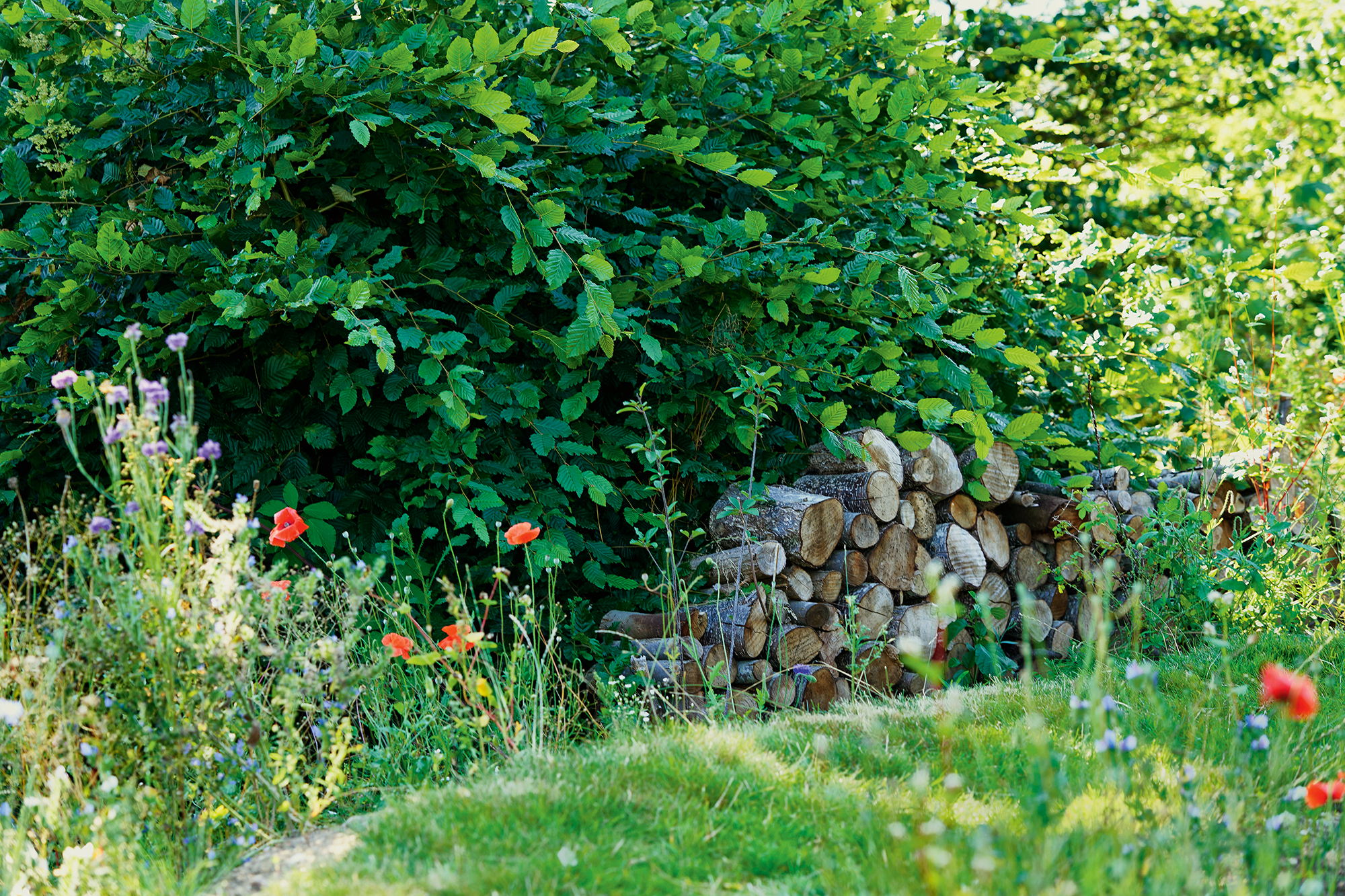 En brændestabel kan både være et nyttigt og dekorativt element i haven. Foto: Henrik Bjerg