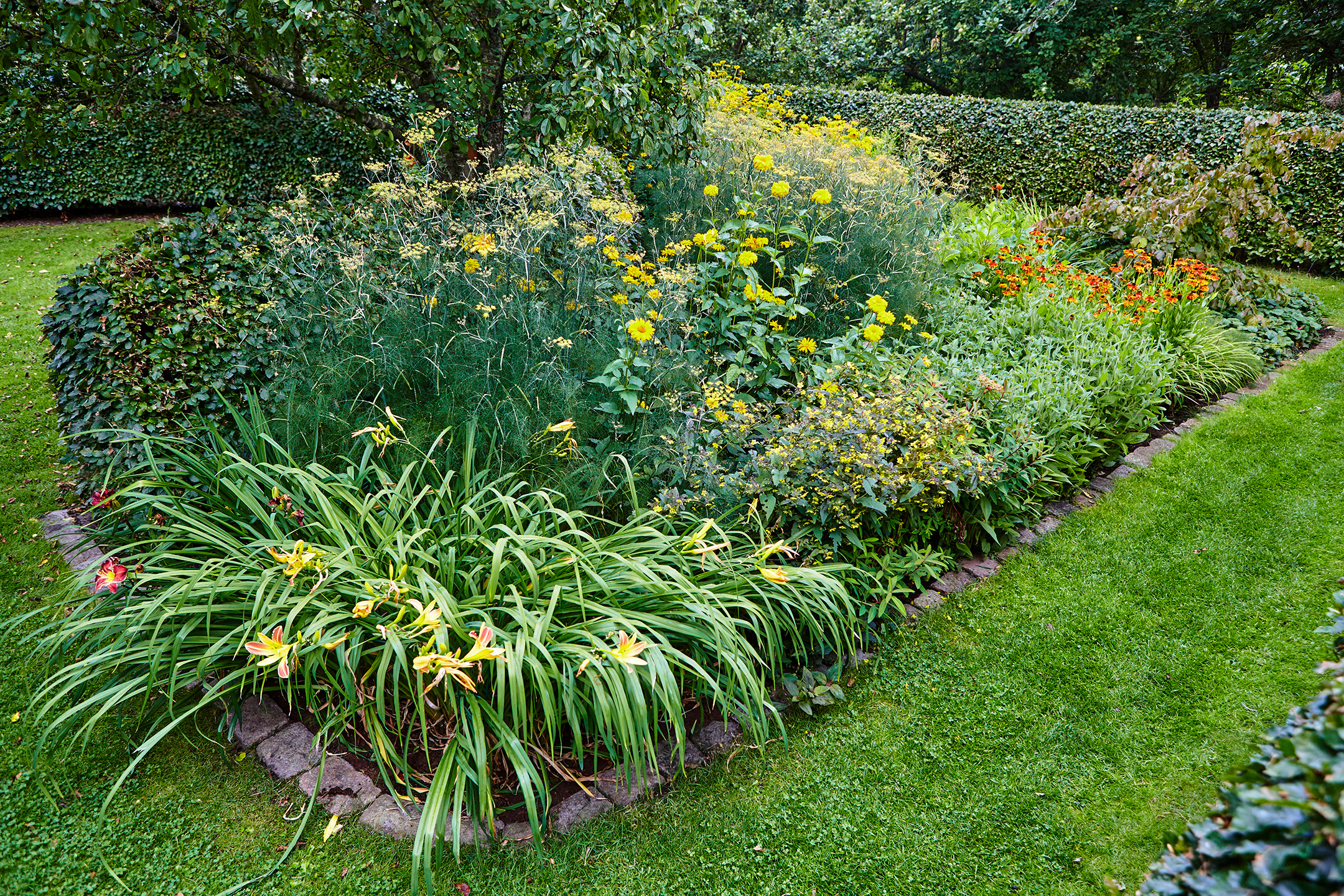 Ildbed til insekterne. Foto: Stuart Mcintyre