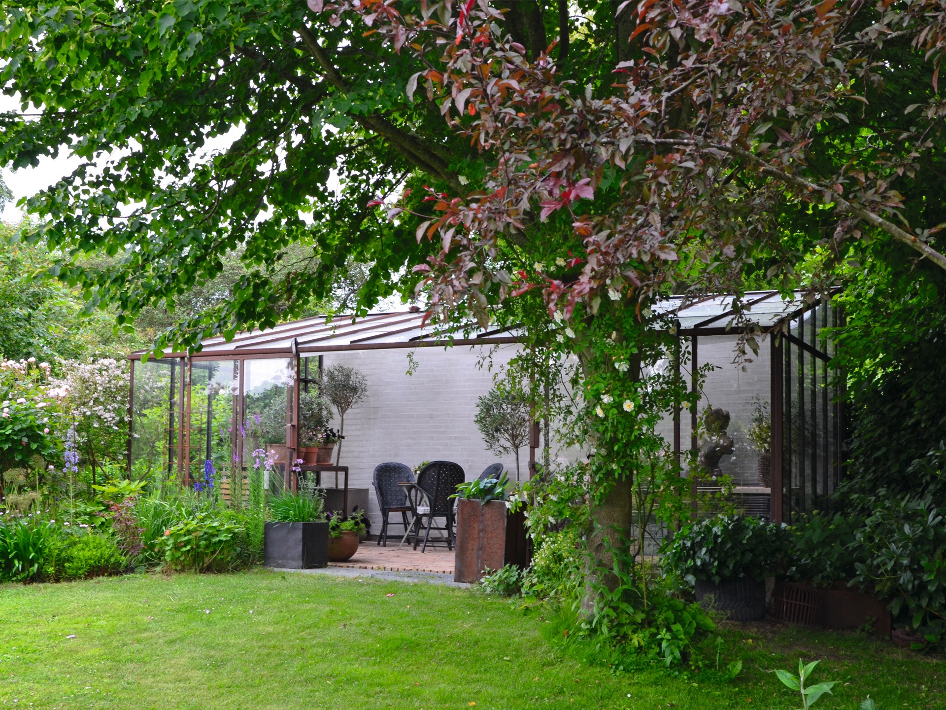 Det minimalistiske drivhus ligger nede i bunden af Birgit Hedegaard Pedersens have smukt pakket ind i planter. Et lindetræ kaster en rar skygge over huset, og foran det vokser et rødløvet paradisæbletræ, som medvirker til at skabe et rum om drivhuset. Foto: Haveselskabet