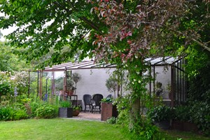 Det minimalistiske drivhus ligger nede i bunden af Birgit Hedegaard Pedersens have smukt pakket ind i planter. Et lindetræ kaster en rar skygge over huset, og foran det vokser et rødløvet paradisæbletræ, som medvirker til at skabe et rum om drivhuset. Foto: Haveselskabet