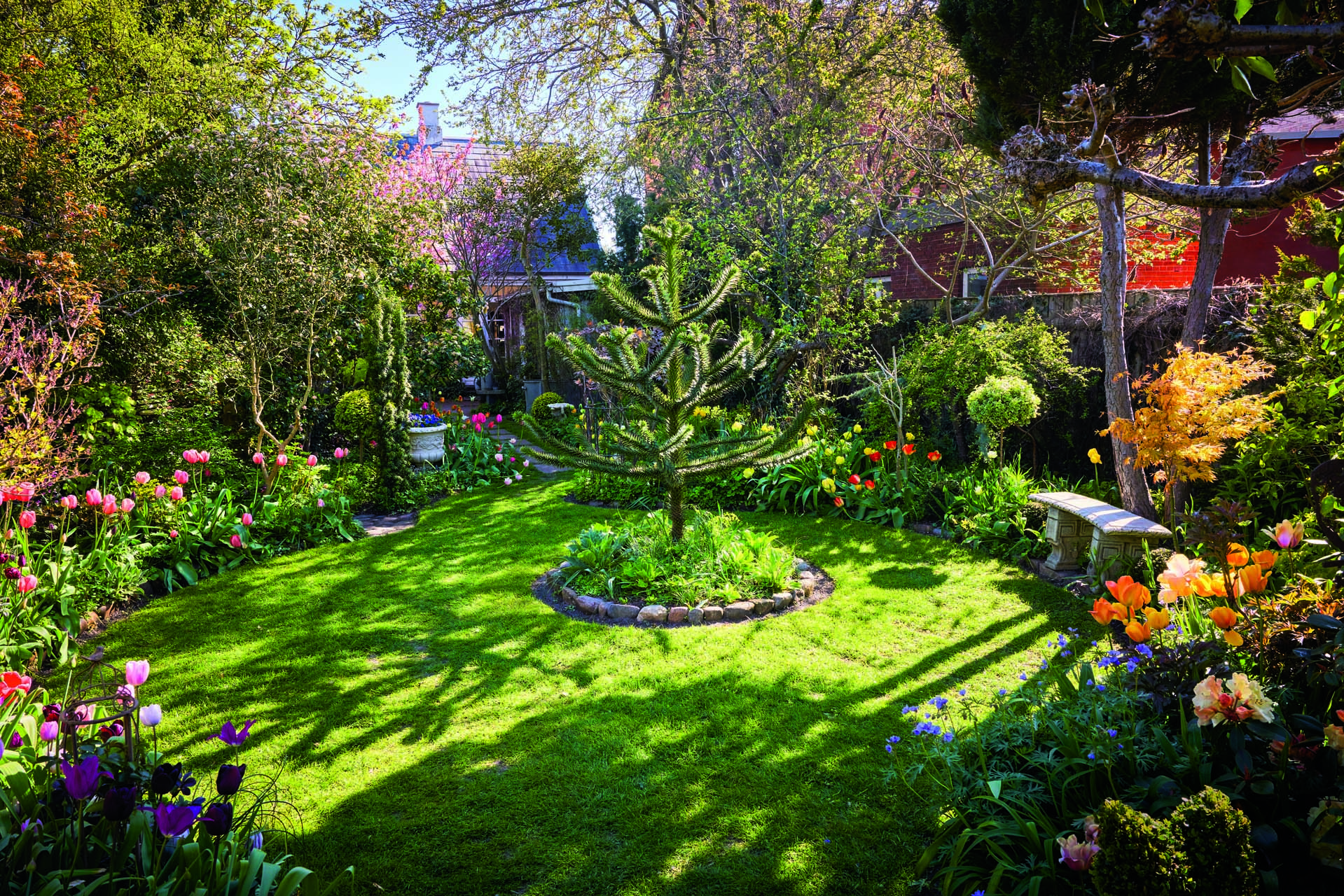 Lille have med cirkelrundt plæne i midten. Foto: Thomas Evaldsen