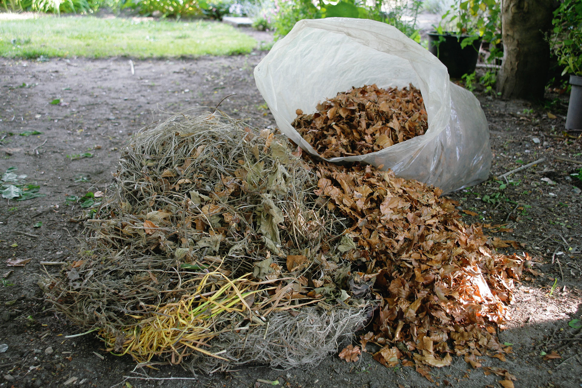 Vissent haveaffald til kompost. Foto: Sophia Gardner