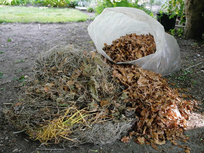 Vissent haveaffald til kompost. Foto: Sophia Gardner