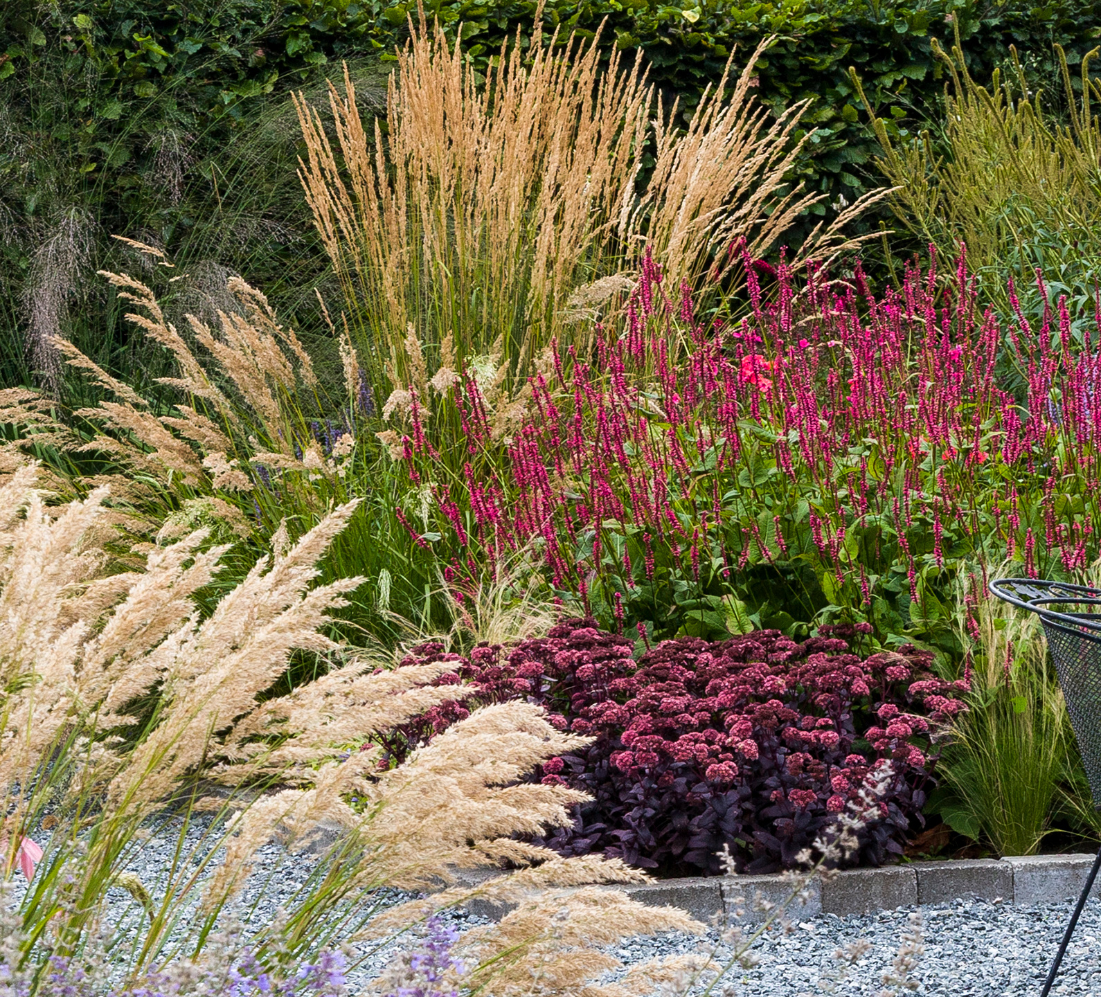 Sankthansurt og kærtepileurt sammen med prydgræsser. I forgrunden ses sølvaks. Foto: Marianne Folling