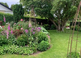 Bustur Helle Aagaard 4