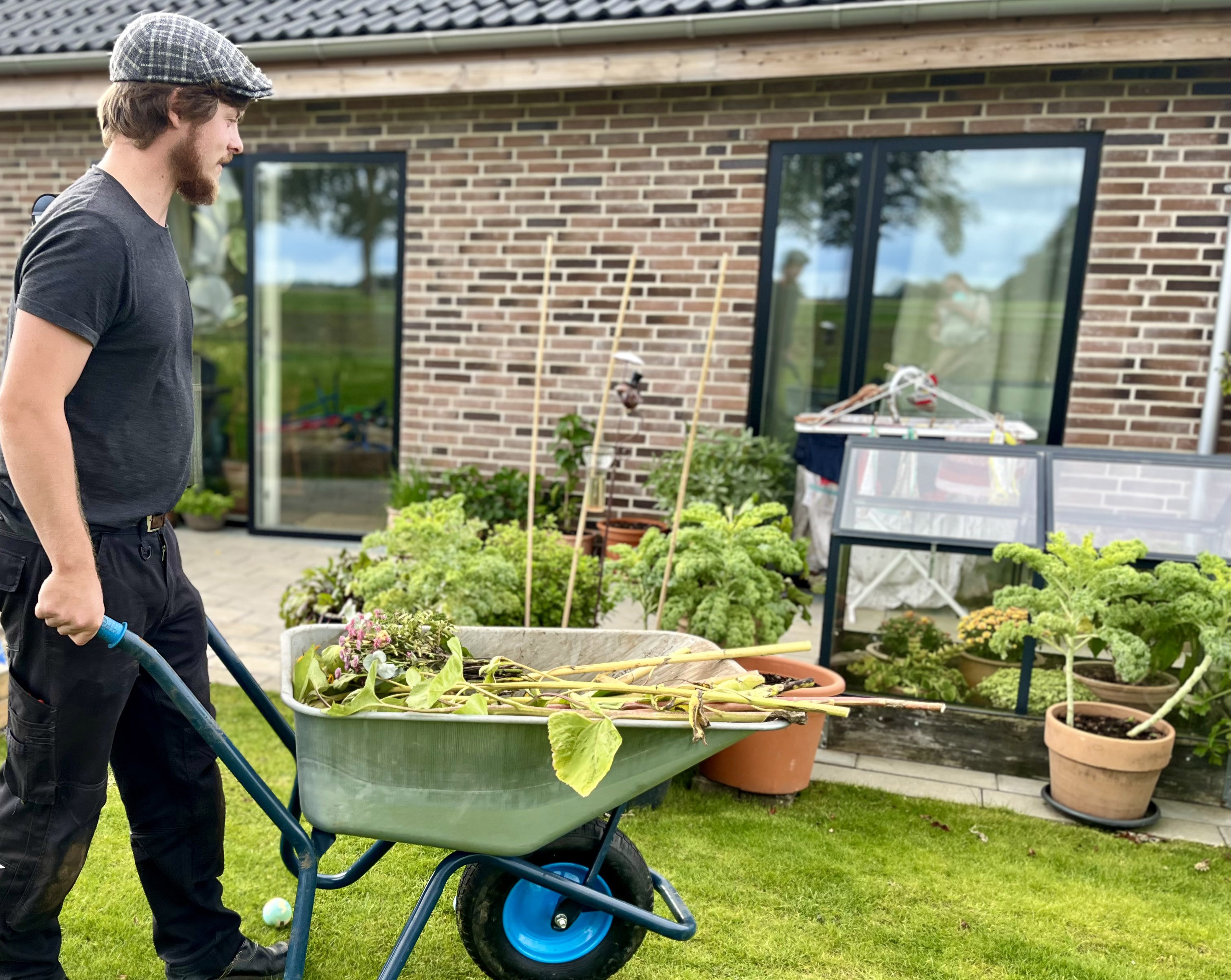 Søren Salomon Pedersen samler planterester sammen og putter dem i kompostspanden. Foto. Privat