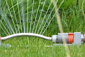 Vippevander. Foto: Pxhere