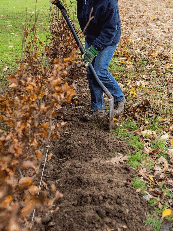 Trin 4. Fyld op med jord. Foto: Lene K