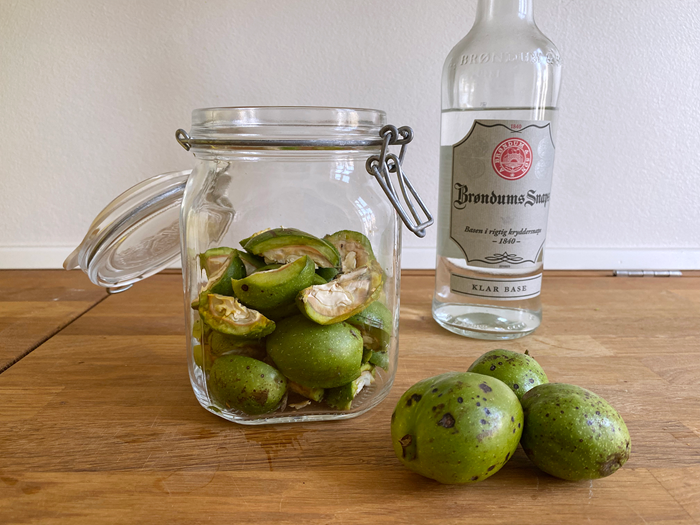Fyld et glas halvt op med grønne valnødder i kvarte. Foto: Haveselskabet