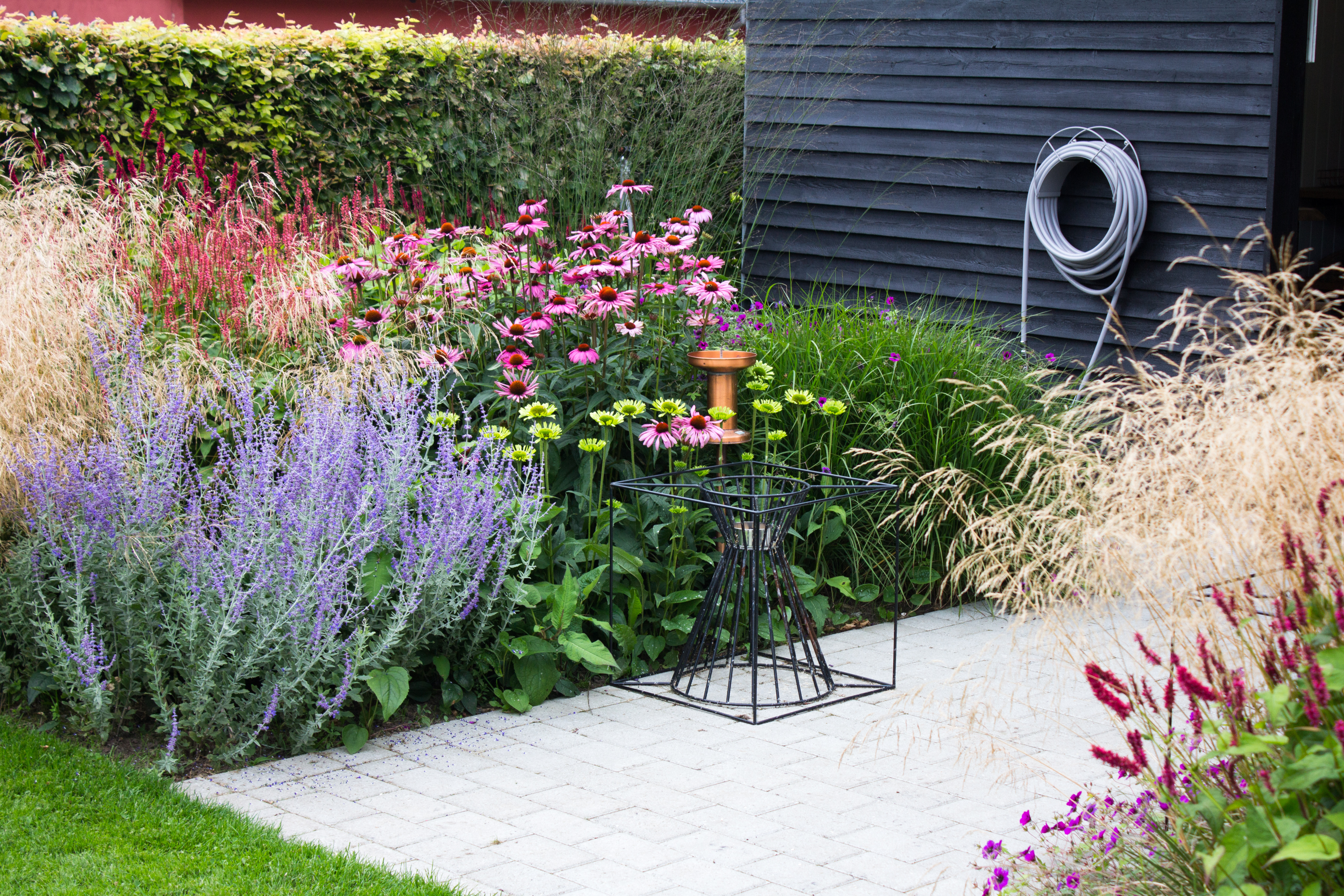 Staudebed med tørketålende planter. Foto: Jeannett Fruergaard