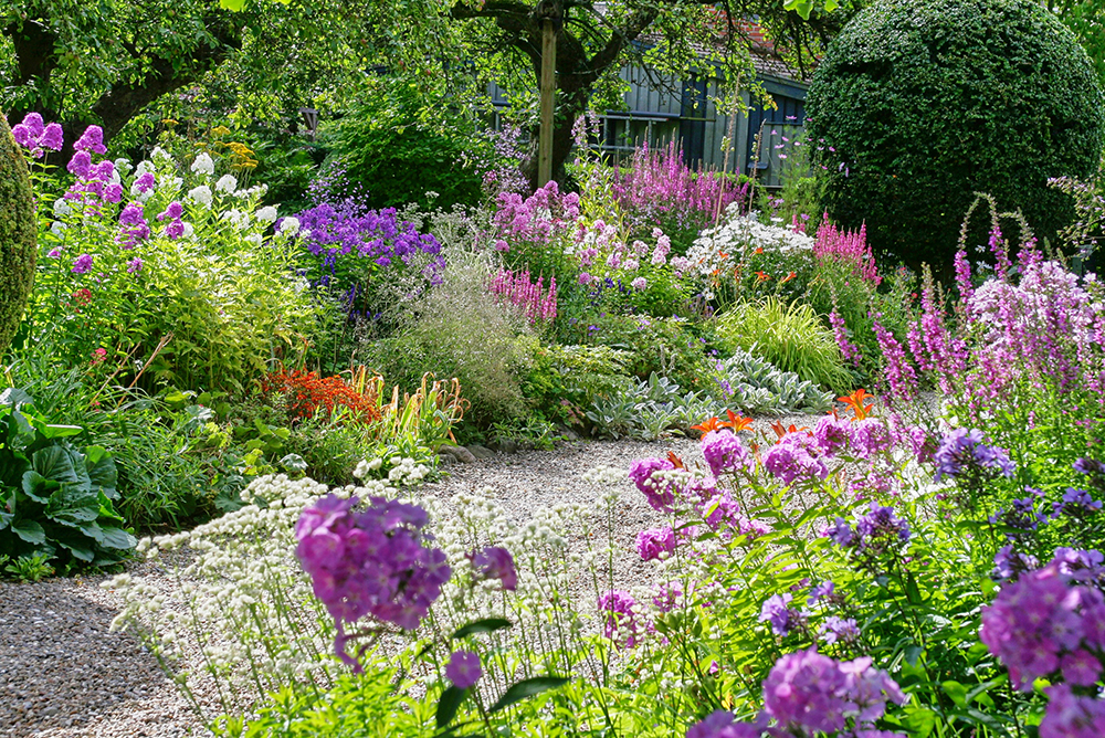 Staudebede hos Sophia Gardner i Lystrup. Foto: Sophia Gardner