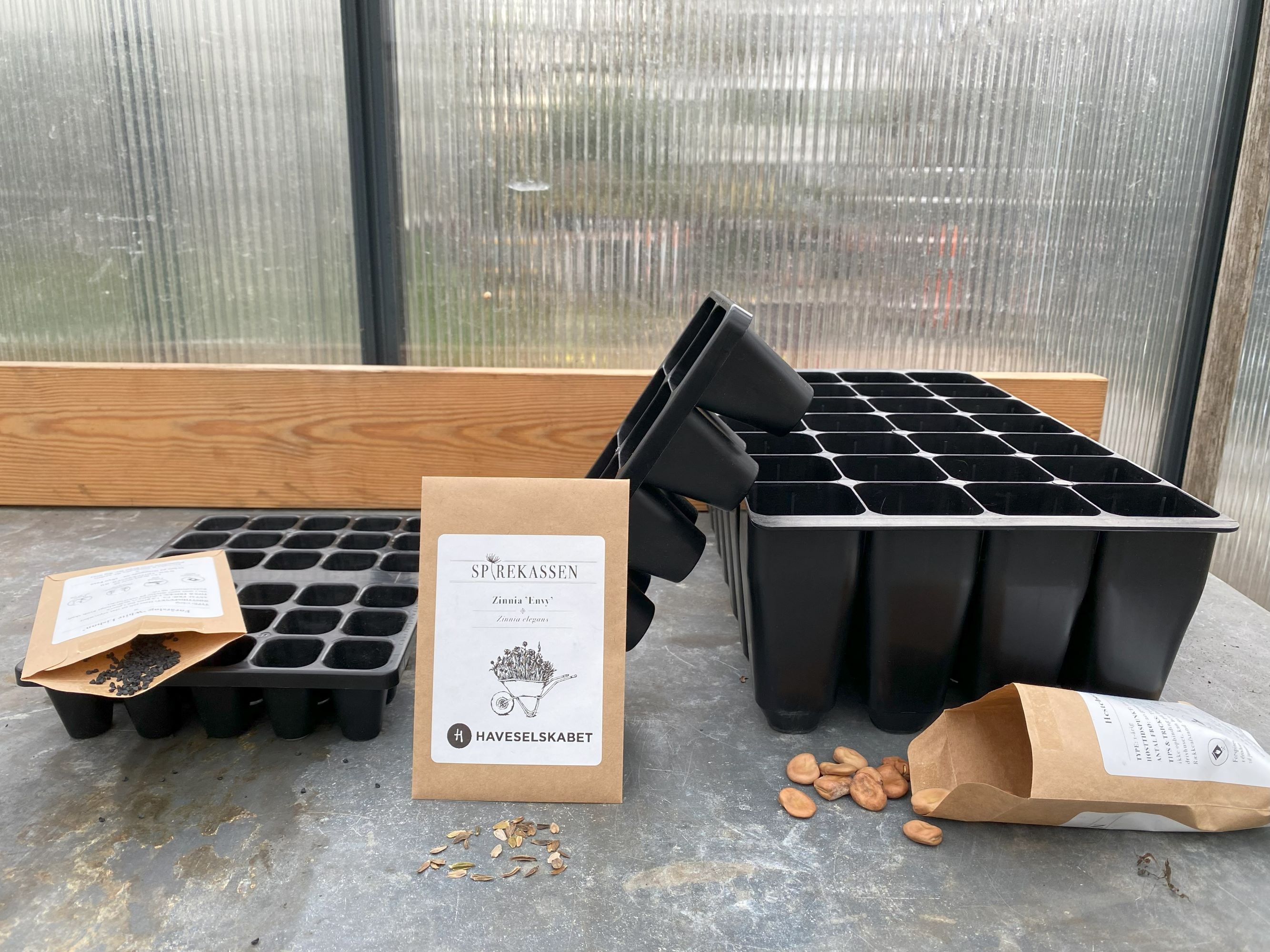 Spirebakker og frø i forskellige størrelser. Foto: Haveselskabet