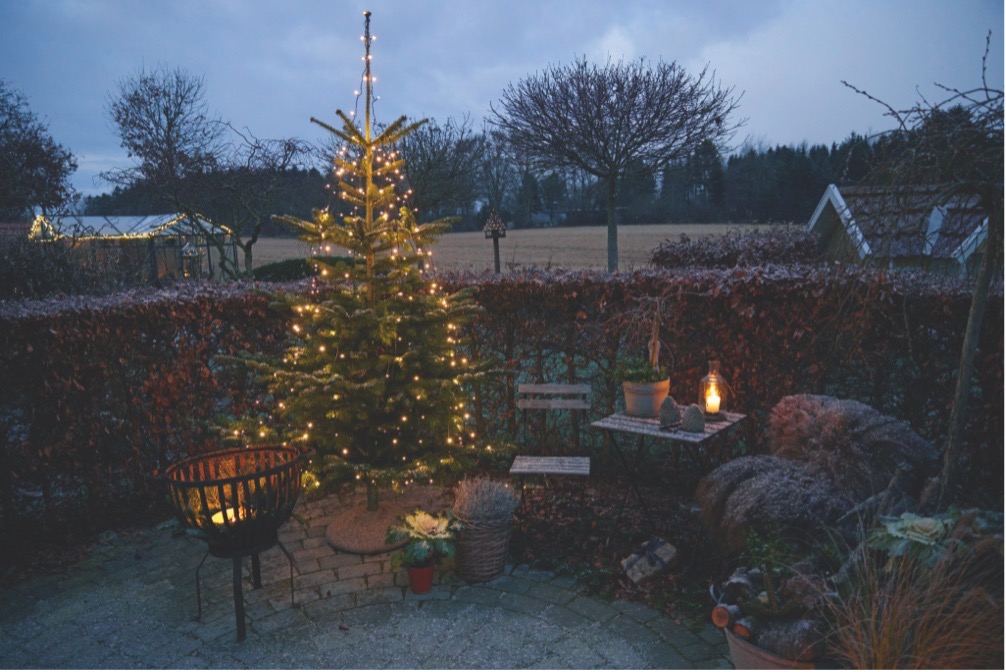 Juletræet er pyntet med en lyskæde, der liver terrassen op sammen med det lille bålfad. Set i Iben Bogut Andersens have i Skibby. Foto Thomas Evaldsen.