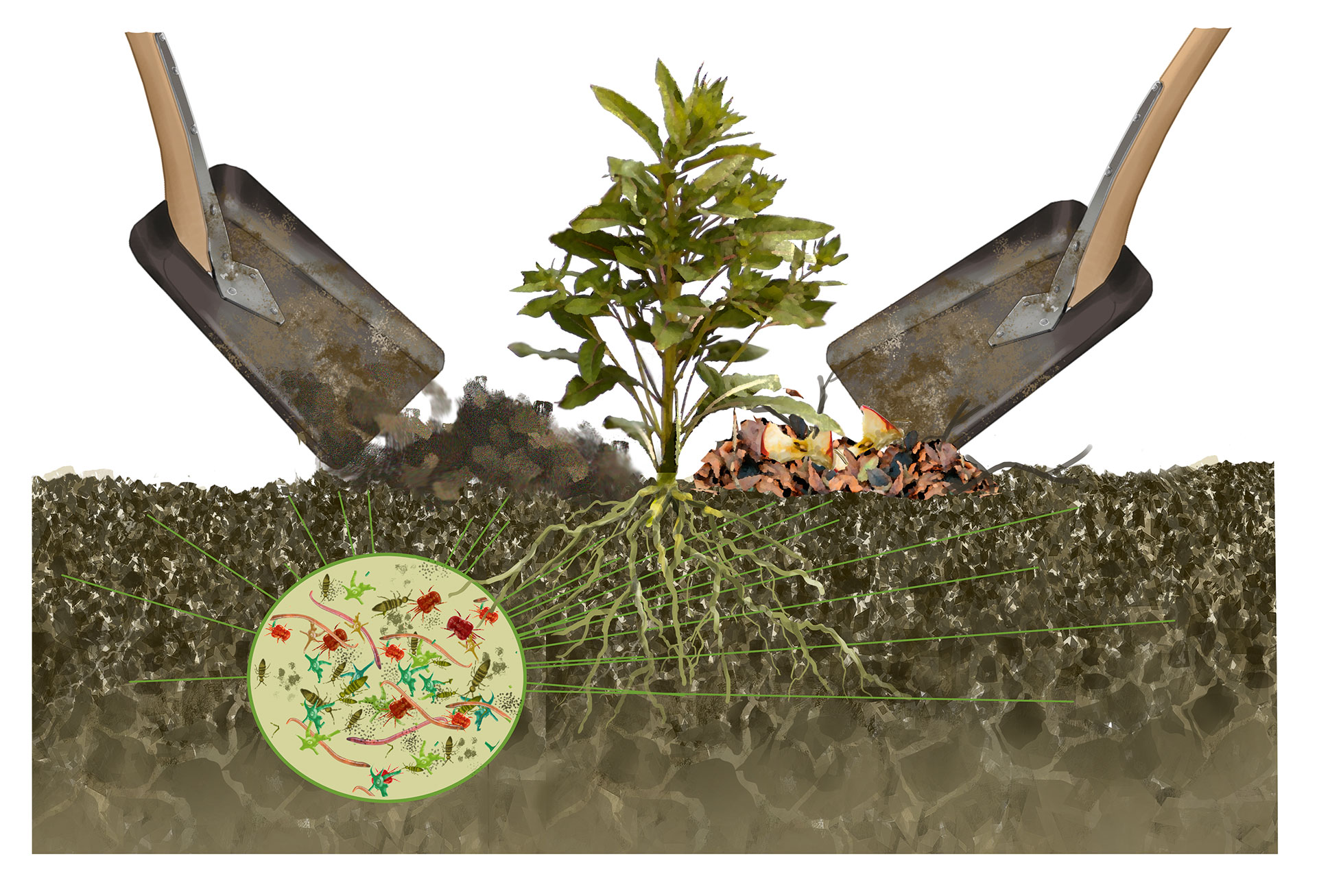 Illustration: Per O. Jørgensen