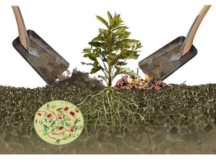 Illustration: Per O. Jørgensen