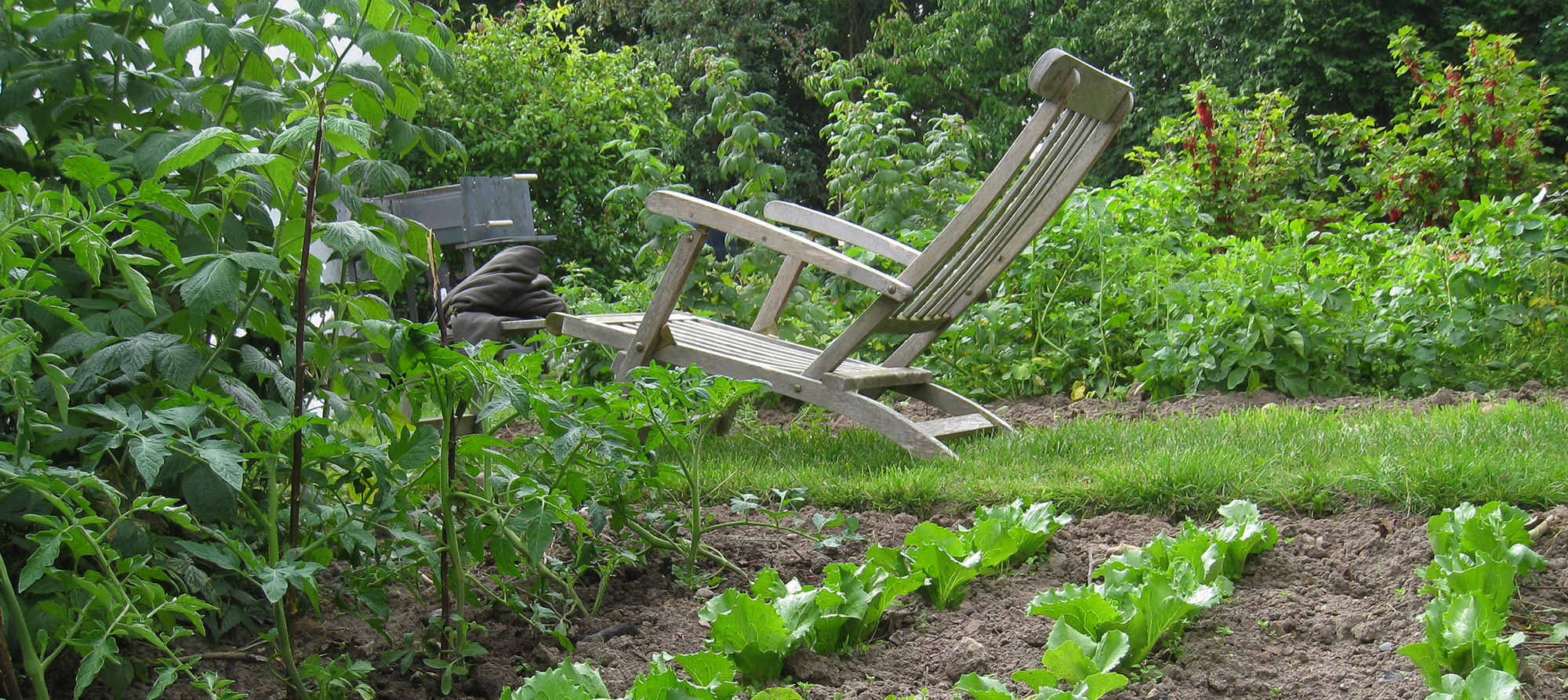 En havestol kan være nyttig, når man har brug for en hvilepause undervejs i arbejdet i køkkenhaven. Foto: Karna Maj