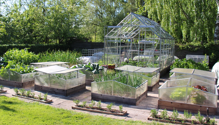 Køkkenhave dyrket i højbede og drivhus. Foto: Peter Norris