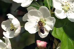 Foto: Ukendt kilde