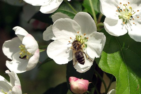Foto: Ukendt kilde