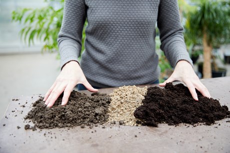 Foto: Thomas Evaldsen