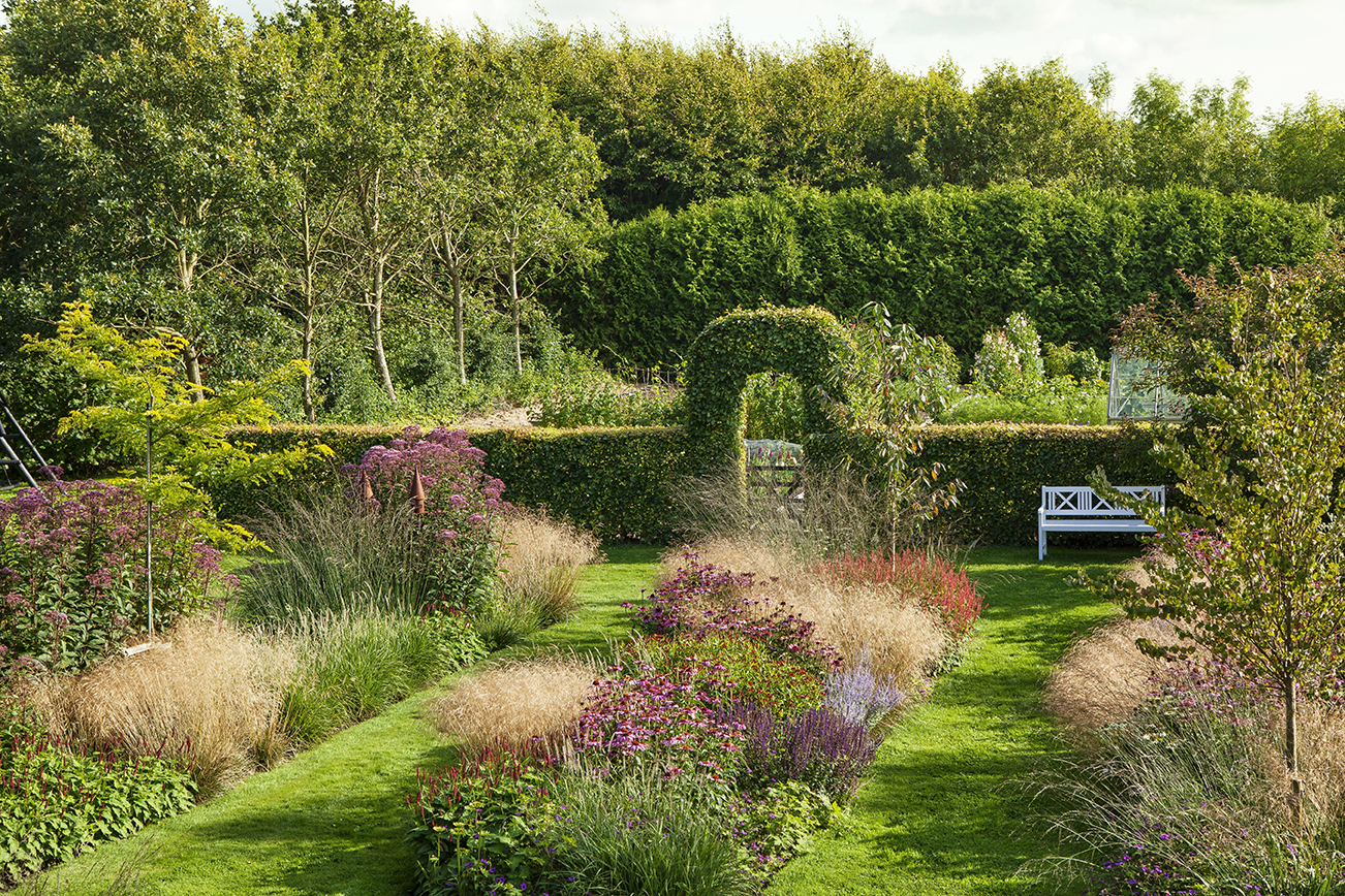 Tre lange bede med græsser og stauder gennemskærer Jeannett Fruergaards have fra huset og ned til køkkenhaven. Fire træer står som spredte overstandere over bedene. Til venstre er det almindelig tretorn, Gleditsia triacanthus. I bedet yderst til højre er det almindeligt hjertetræ, Cercidiphyllum japonicum. Foto: Ann Malmgren