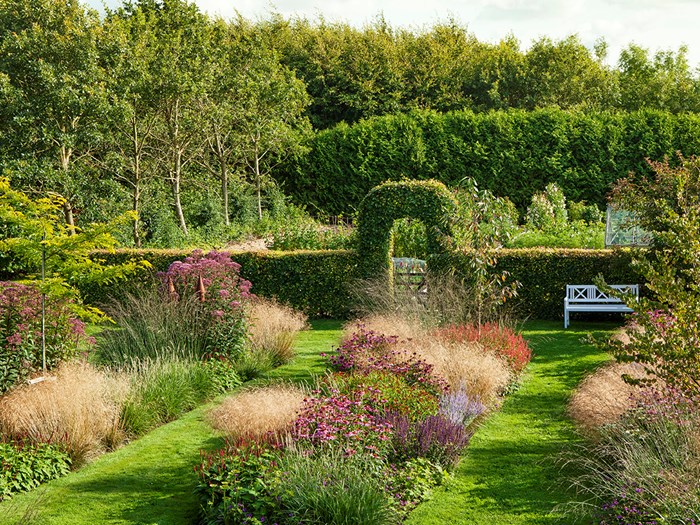 Tre lange bede med græsser og stauder gennemskærer Jeannett Fruergaards have fra huset og ned til køkkenhaven. Fire træer står som spredte overstandere over bedene. Til venstre er det almindelig tretorn, Gleditsia triacanthus. I bedet yderst til højre er det almindeligt hjertetræ, Cercidiphyllum japonicum. Foto: Ann Malmgren