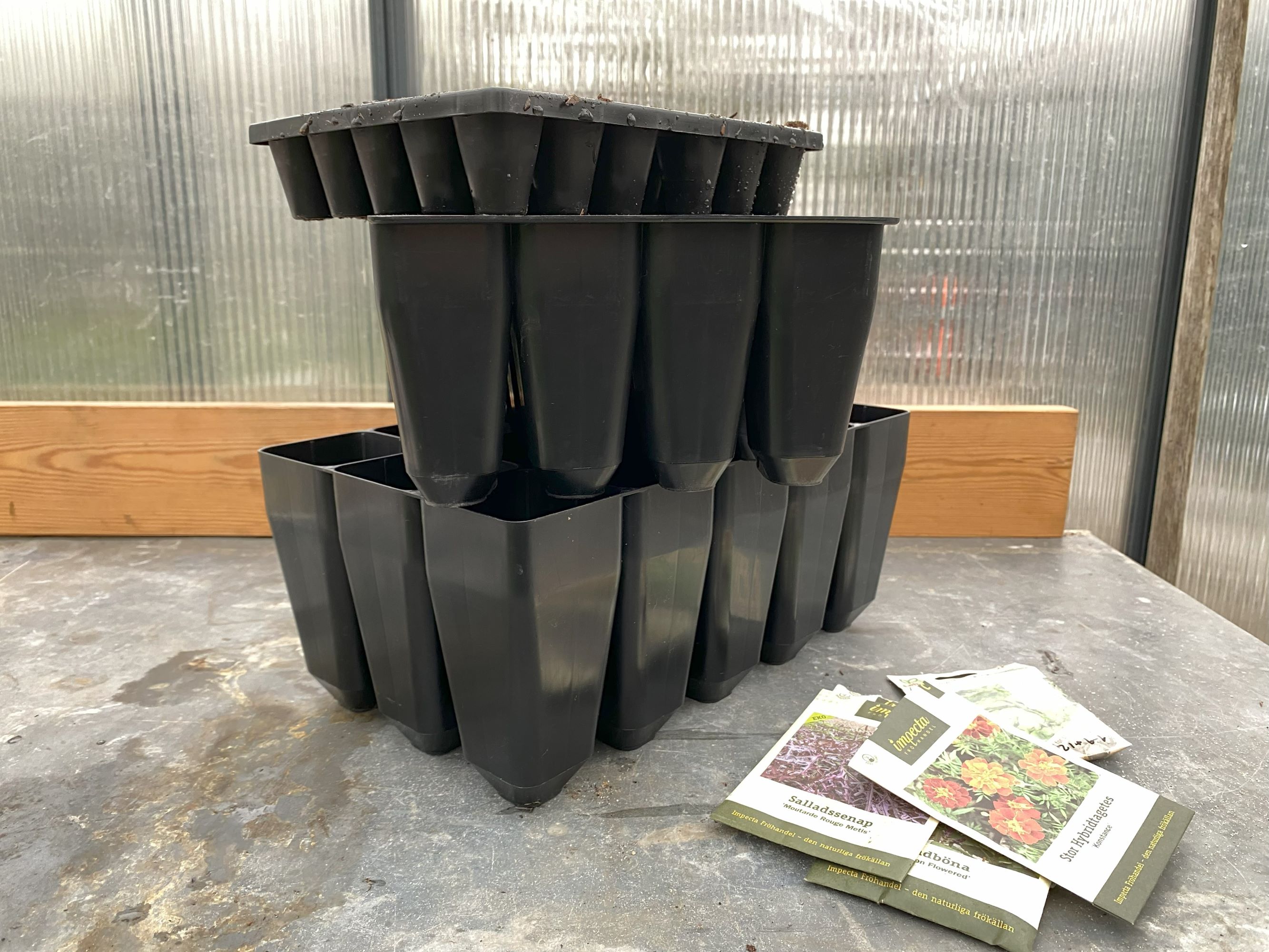 Dybe spirebakker. Foto: Haveselskabet