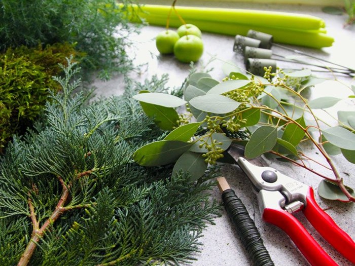 Dekorationsmaterialer fra haven, læs Haveselskabets 3 gode goeremål i december