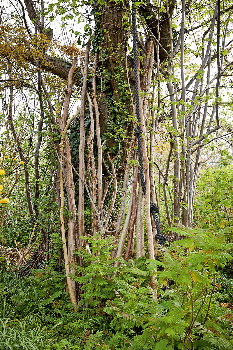 Grene placeret op af træ nedbrydes langsomt, hvilket netop er det, vi gerne vil opnå, når det handler om at nedsætte Co2-afgivelsen fra træet.