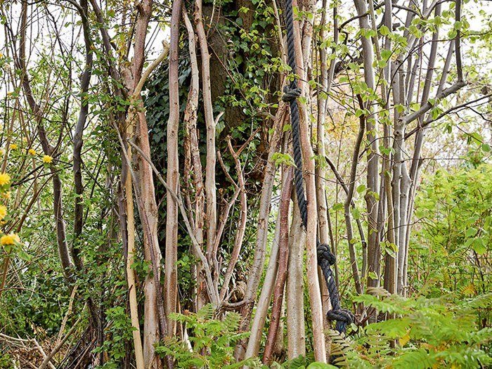 Grene placeret op af træ nedbrydes langsomt, hvilket netop er det, vi gerne vil opnå, når det handler om at nedsætte Co2-afgivelsen fra træet.