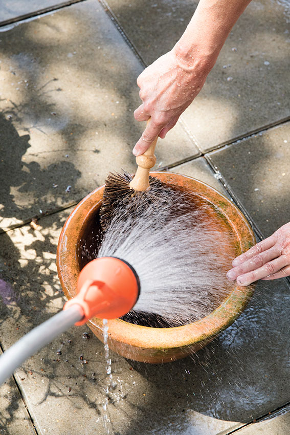 Sørg for at rengøre krukkerne efter brug, så der ikke sidder gammel jord og planterester, der kan indeholde svampesporer af plantesygdomme. Foto: Ann Malmgren