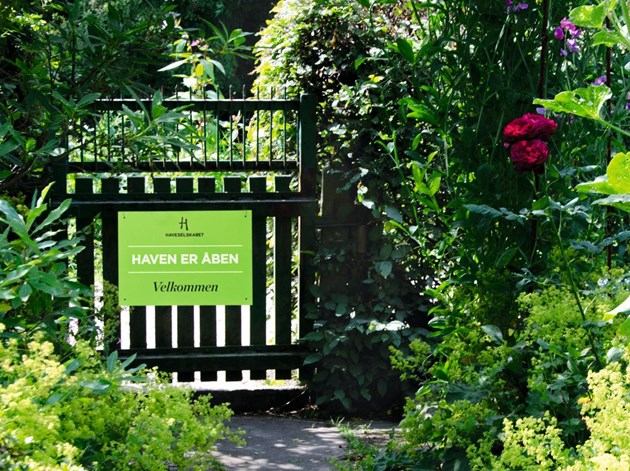 Haveselskabets Havefestival er en maggiterning af haveglæde og masser af inspiration. Foto: Haveselskabet.