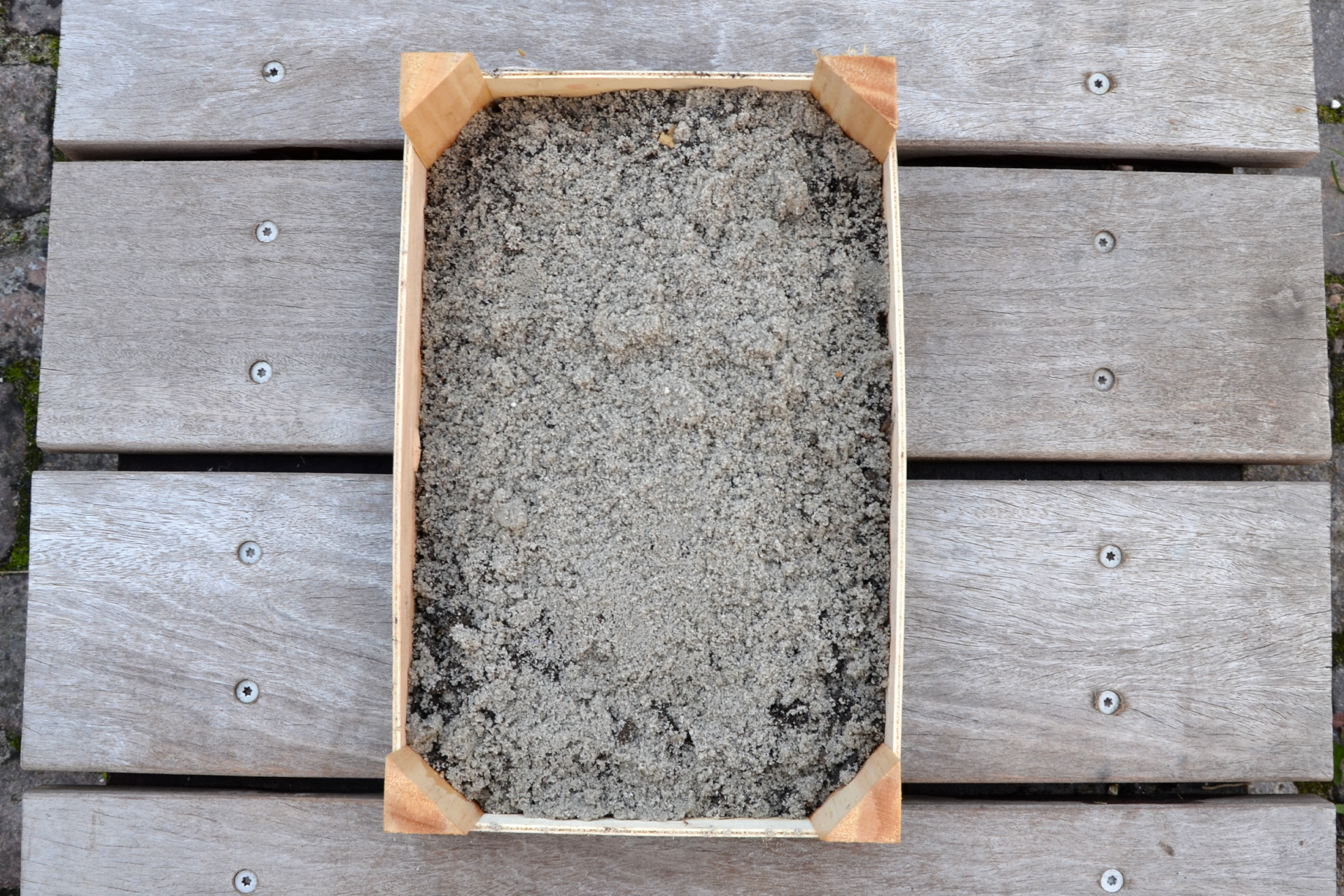 Trin 4. Dæk med sand. Foto: Haveselskabet