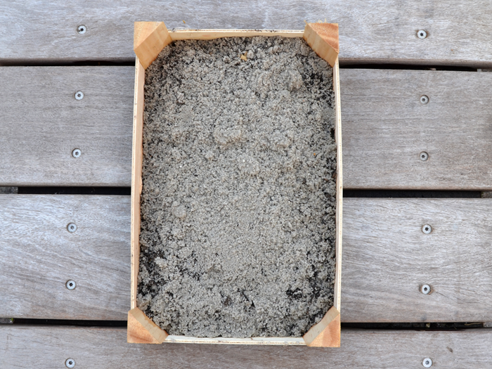 Trin 4. Dæk med sand. Foto: Haveselskabet