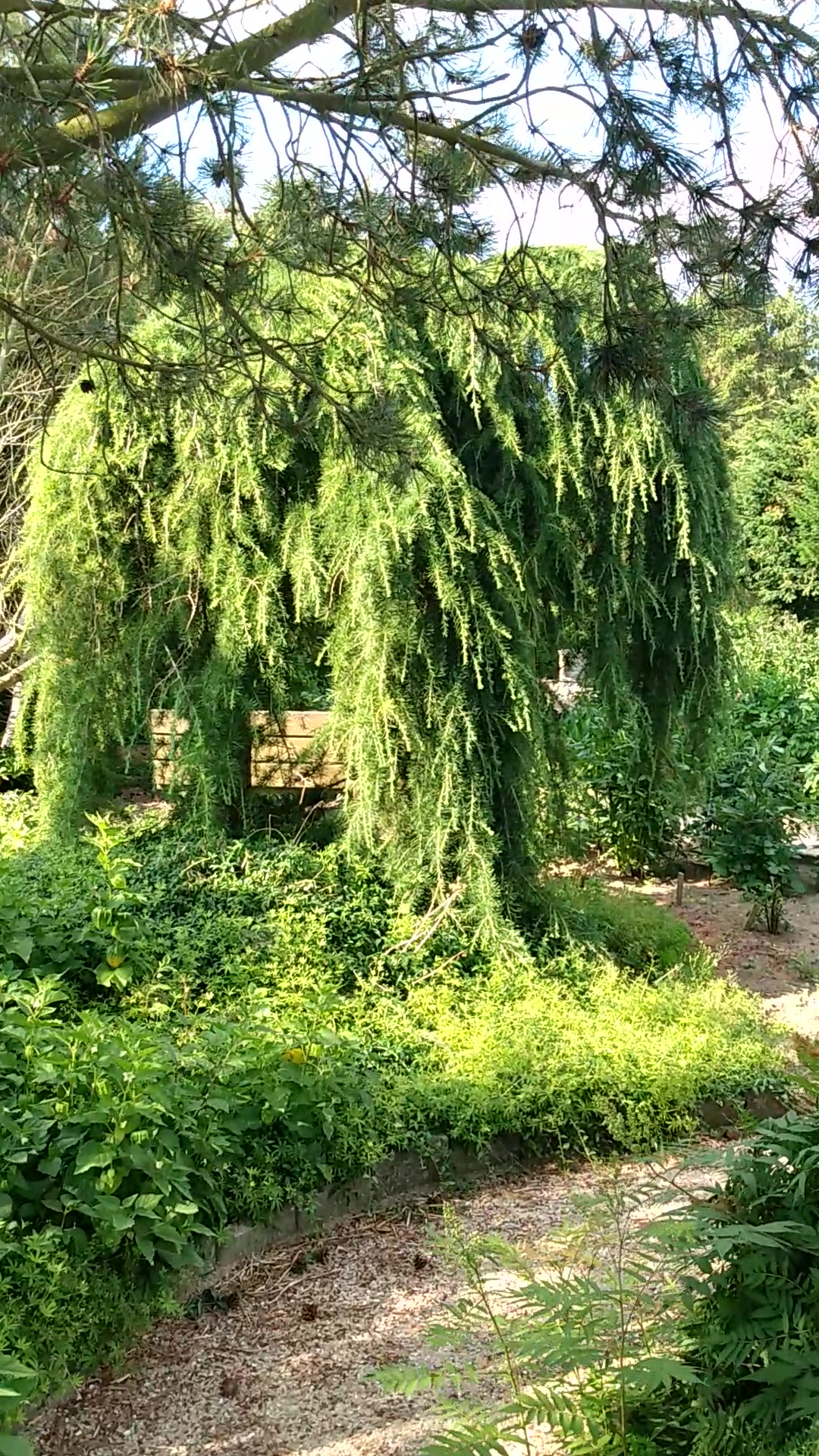 Foto: Hjerrild Rasmussen