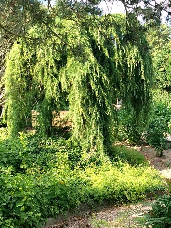 Foto: Hjerrild Rasmussen