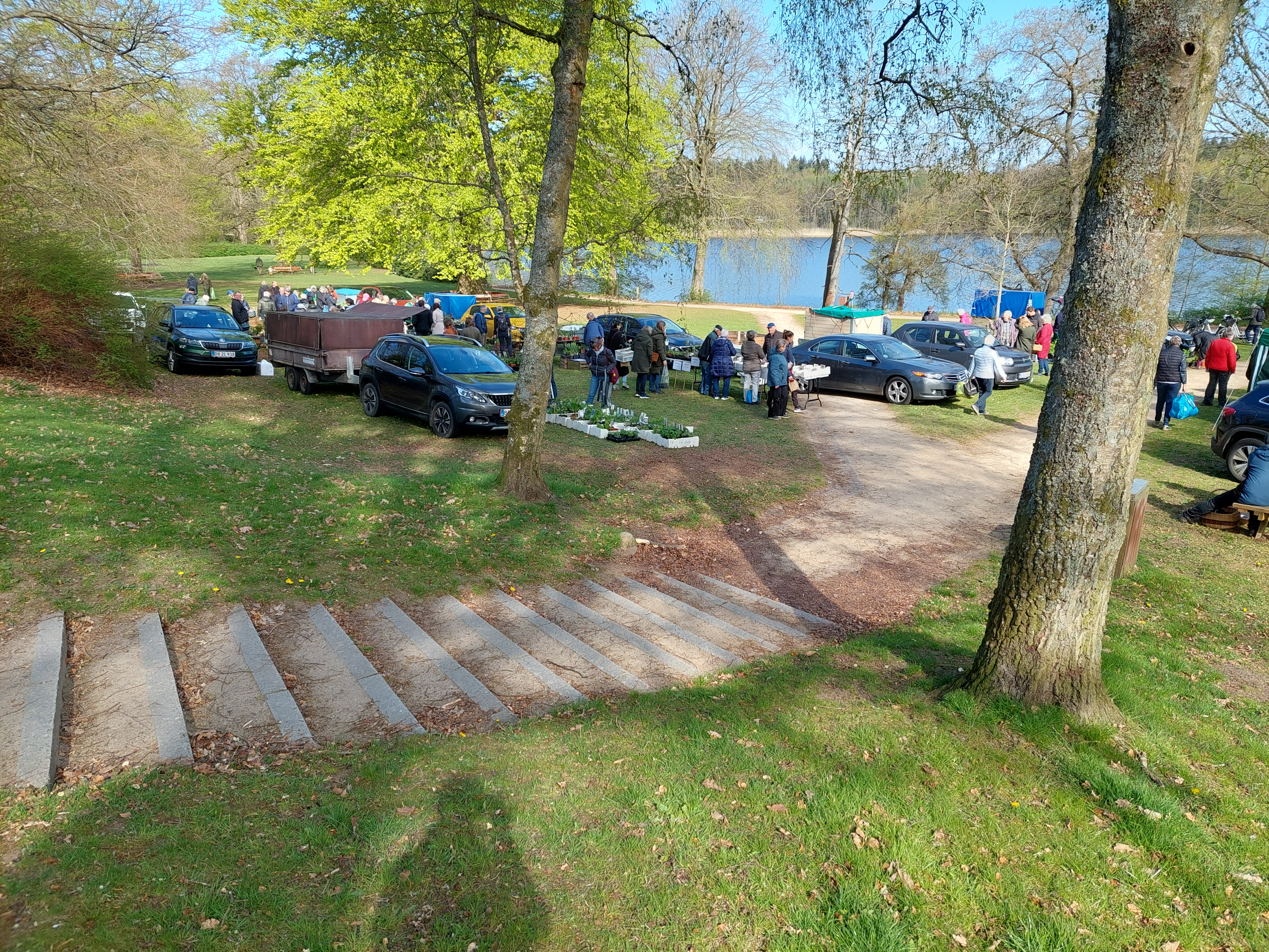 Plantemarked i Lunden