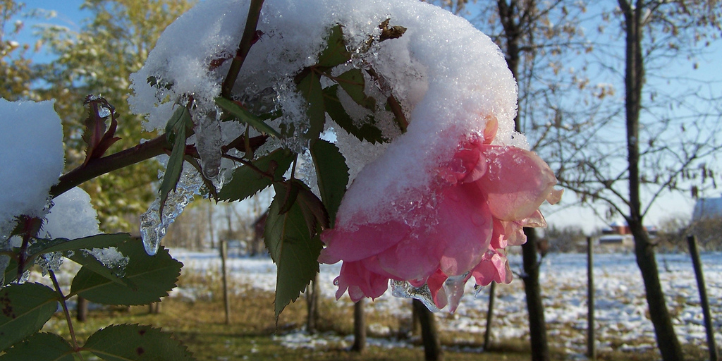 Foto: Flickr/Chad Ohman