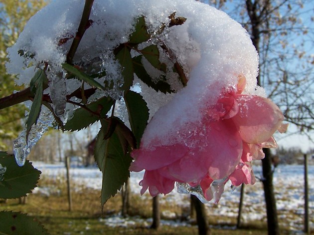 Foto: Flickr/Chad Ohman