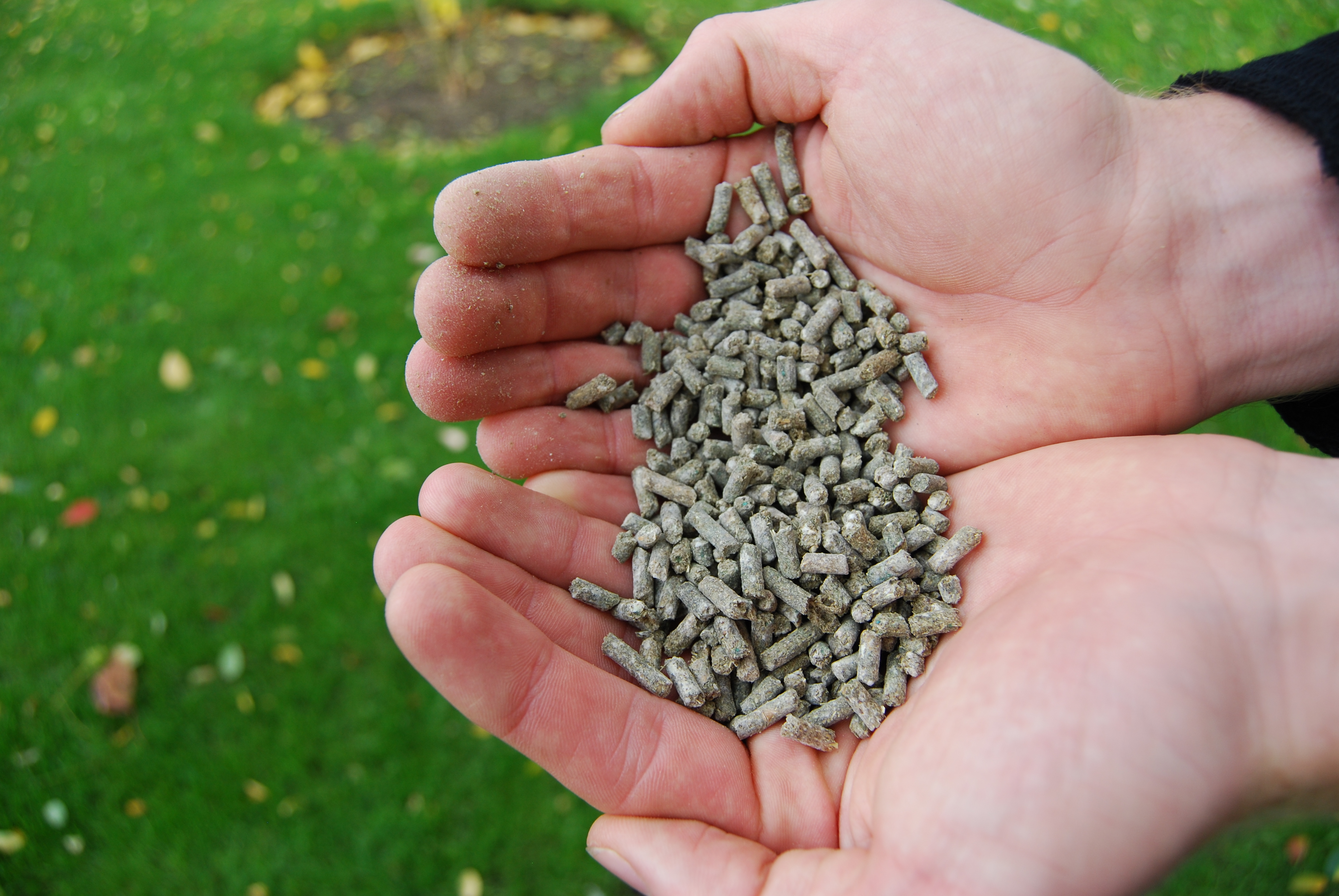 Organisk gødning. Foto: Haveselskabet