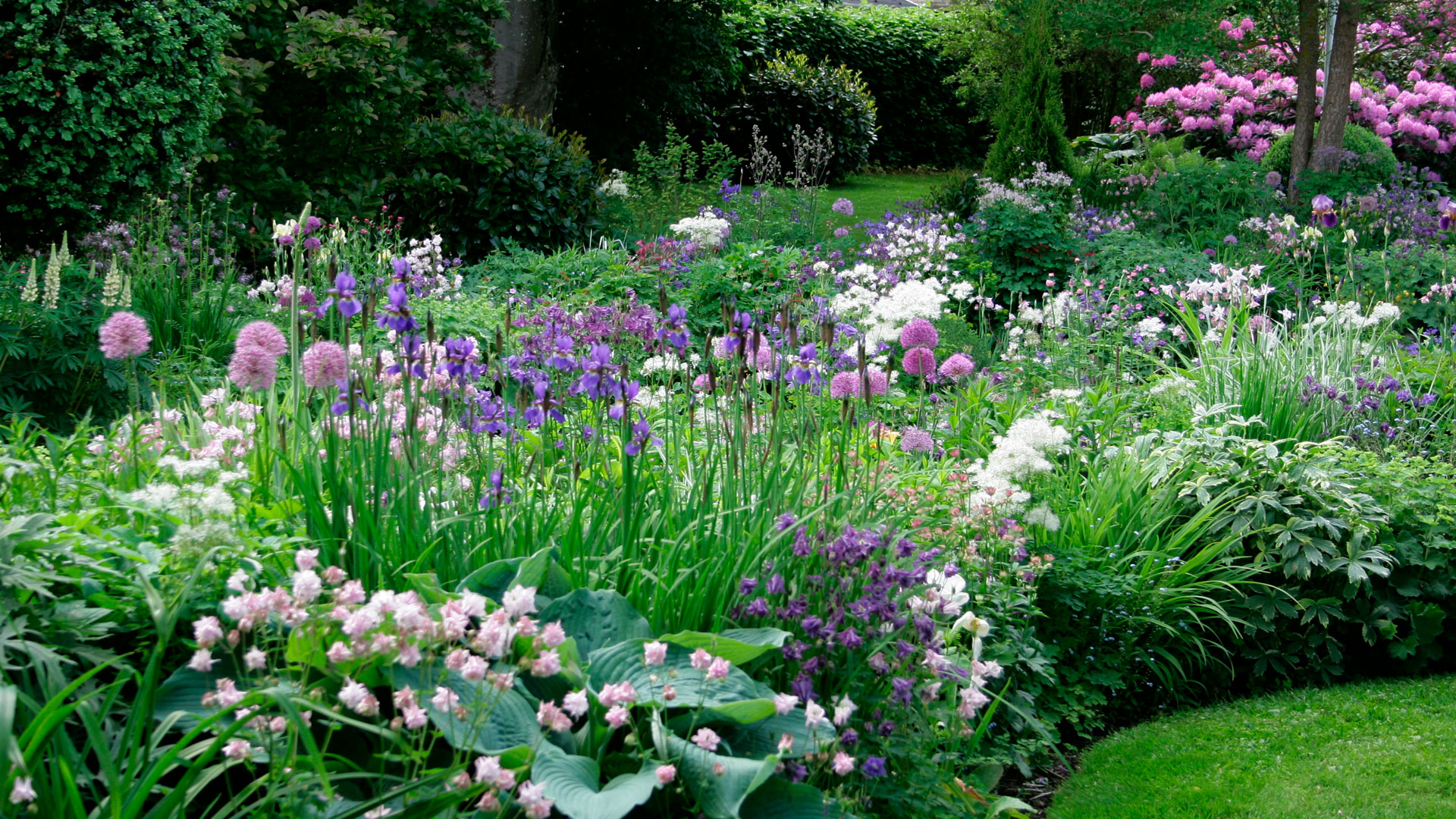 Foto: Sophia Gardner