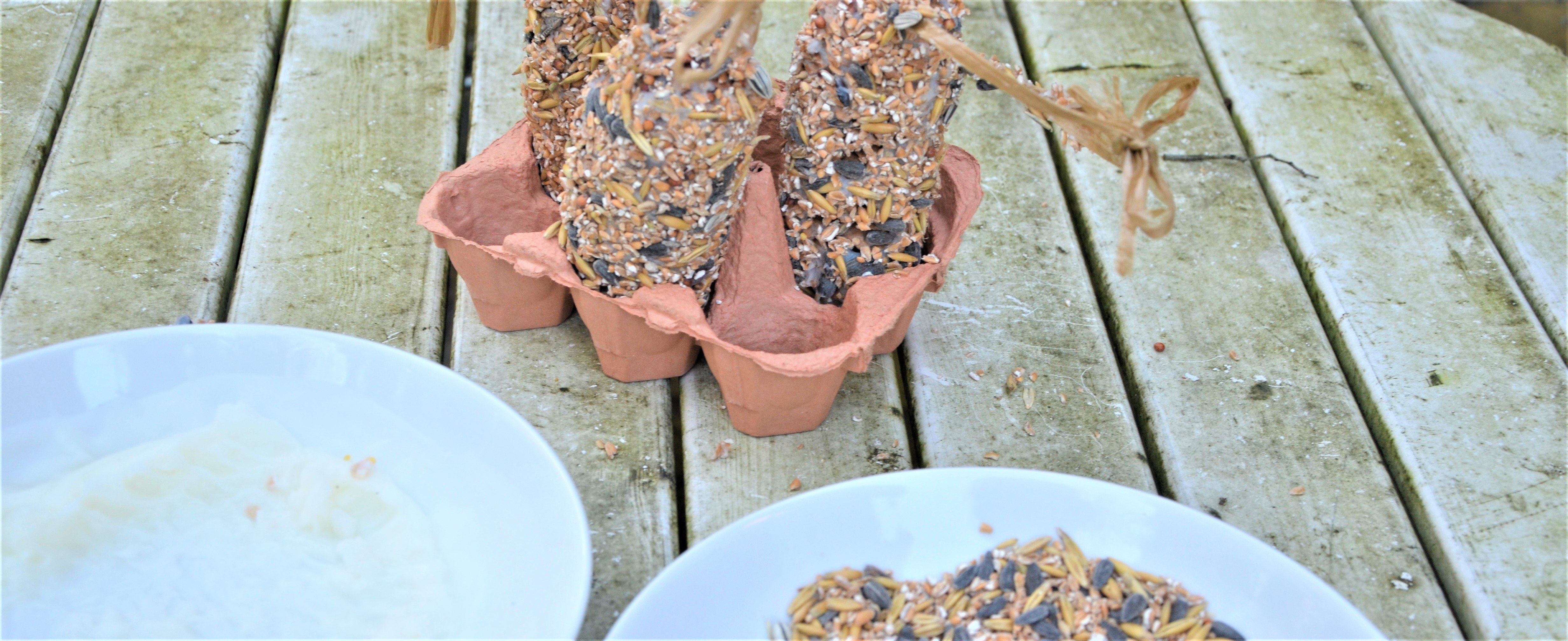 Fedtkugler i æggebakke. Foto: Haveselskabet