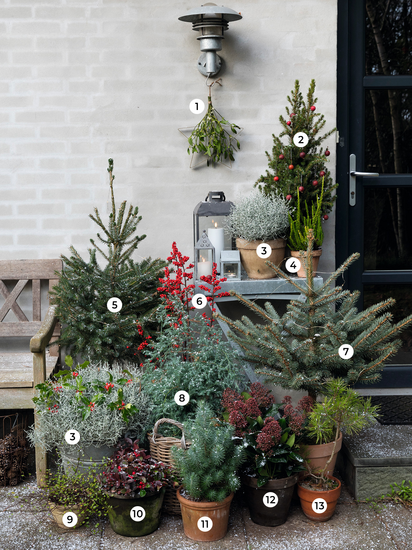 Opstilling af vinterkrukker. Foto: Ann Malmgren