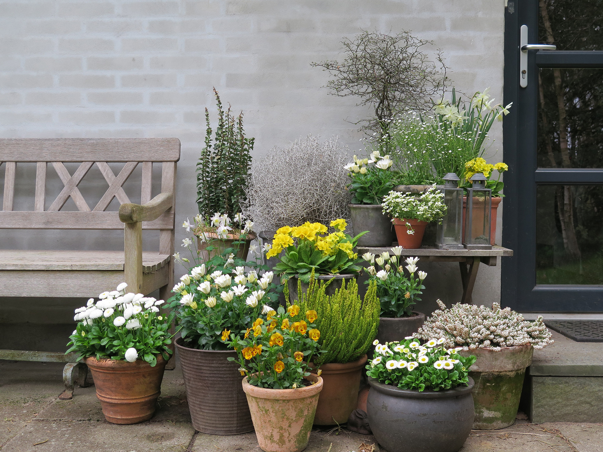 Krukkerne ved fordøren er en fin velkomst i gule og hvide nuancer. Foto: Ann Malmgren