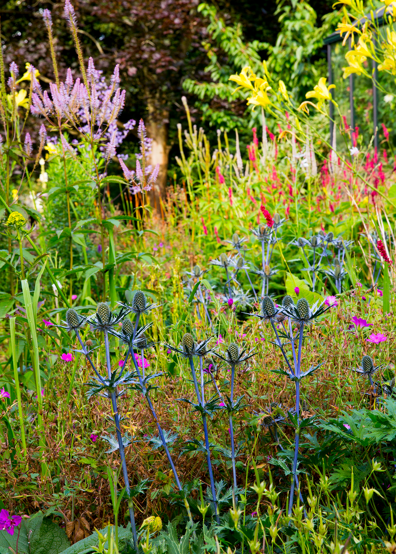 Foto: Pernille Kaalund