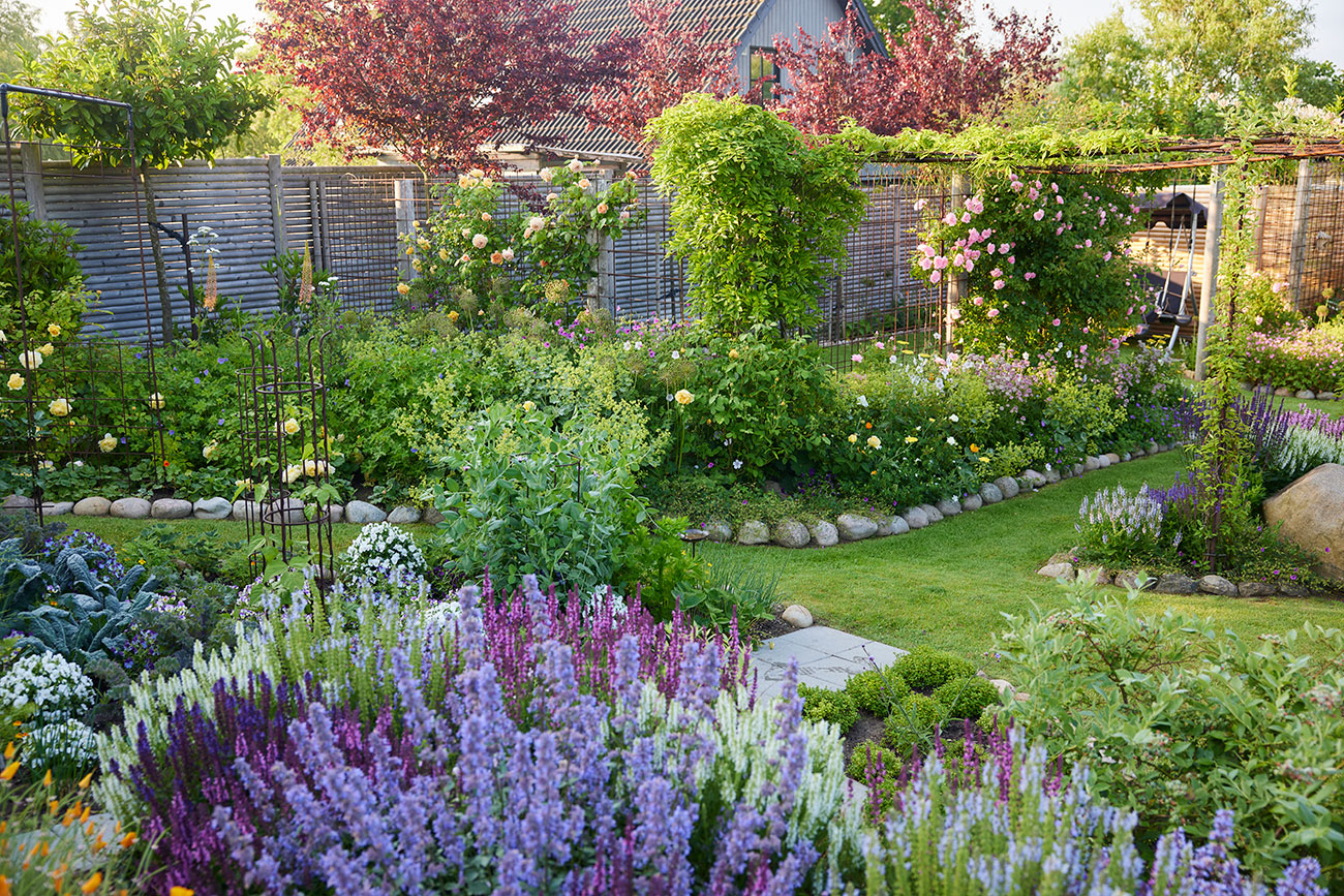 Haven i juni måned. Foto : Thomas Evaldsen