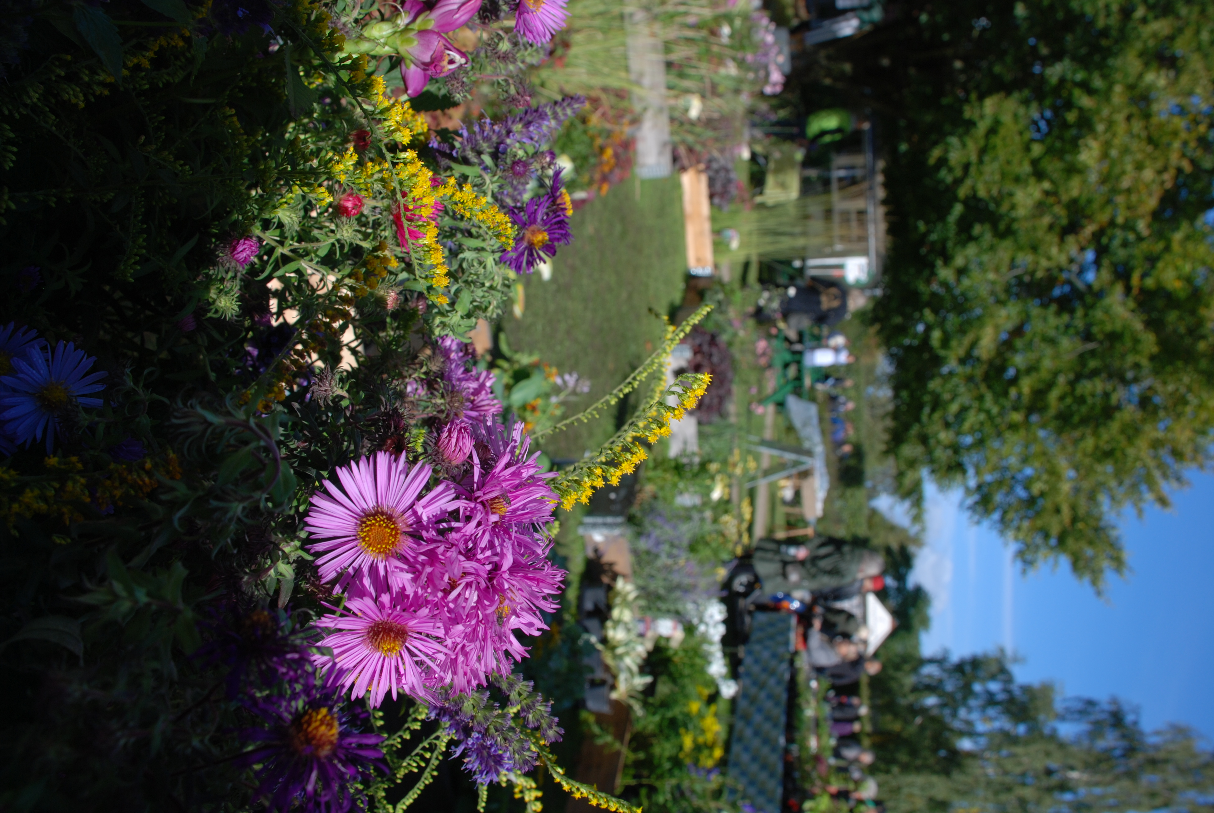 Planternes Dag på Glud Museum