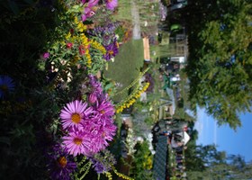 Planternes Dag på Glud Museum
