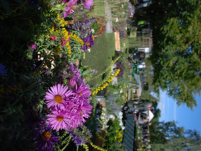 Planternes Dag på Glud Museum