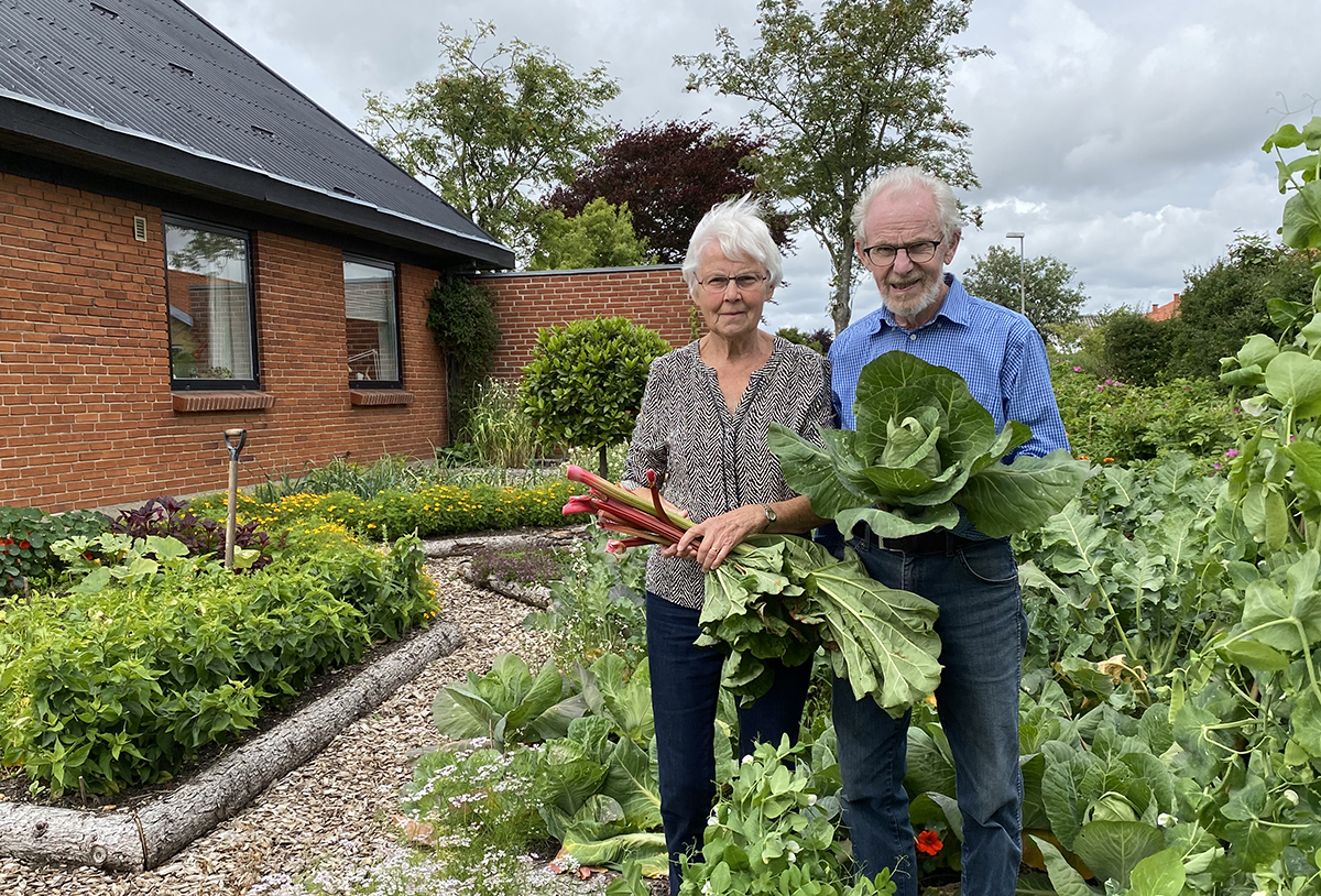 Tove og Anders har gode erfaringer med de bittersunde grøntsager